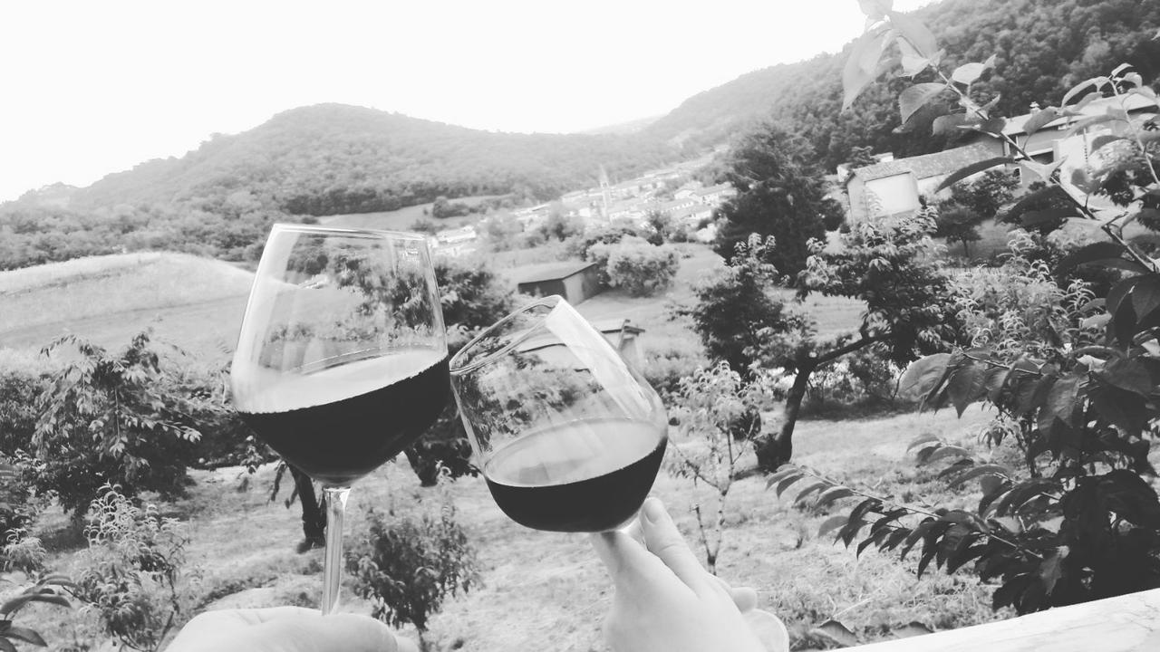 הוילה מארוסטיקה Agriturismo Al Ciliegio מראה חיצוני תמונה