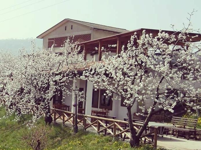 הוילה מארוסטיקה Agriturismo Al Ciliegio מראה חיצוני תמונה